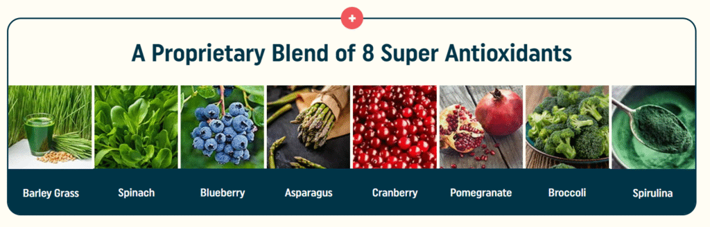 Nagano Tonic Ingredients